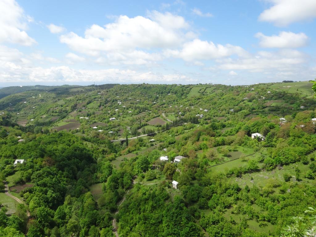 Giorgi'S Homestay Kutaisi Bagian luar foto