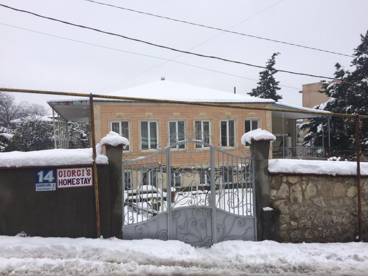 Giorgi'S Homestay Kutaisi Bagian luar foto